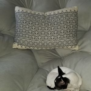 Blue & White accent pillow